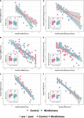 The Impact of Baseline Mindfulness Scores on Mindfulness-Based Intervention Outcomes: Toward Personalized Mental Health Interventions